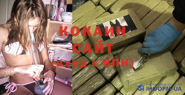молекула духа Няндома