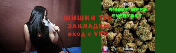 молекула духа Няндома
