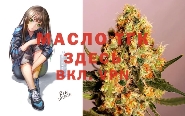 молекула духа Няндома