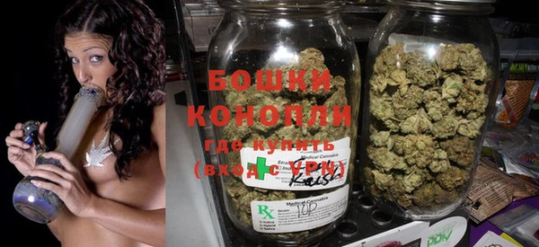 молекула духа Няндома