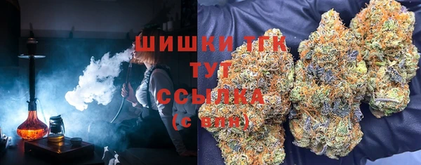 молекула духа Няндома