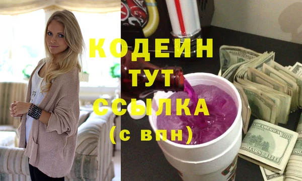 молекула духа Няндома