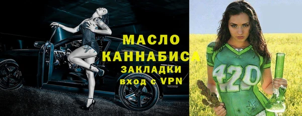 молекула духа Няндома