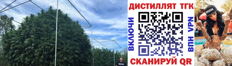 Дистиллят ТГК THC oil Калининец