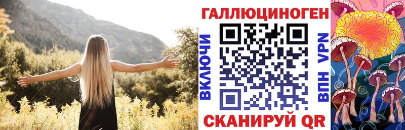 Галлюциногенные грибы Psilocybine cubensis  Калининец 